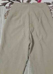 Zara Tan formal pant
