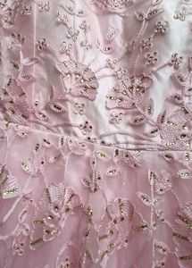 Beautiful Pink Embroidered Gown