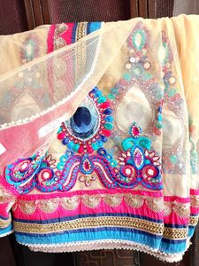 Readymade Net Embroidered Saree with 2 Blouses