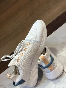 White Knit Sneakers