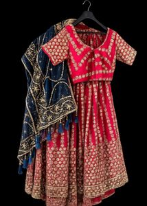 pure vintage Pink & Gold Embroidered Lehenga Choli