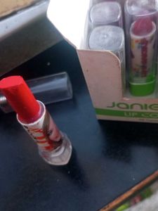 Janie Stush Lip Sicks (PACK OF 12)