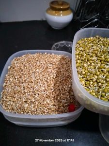 Sprout Maker