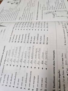 French Textbook + Workbook A1 (Grade 11)