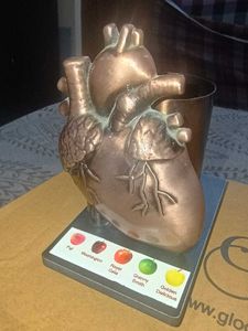 Unique Anatomical Heart Pen Holder
