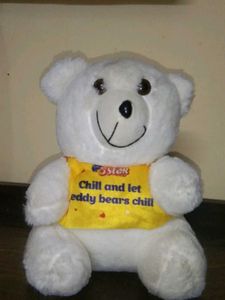 White Teddy bear