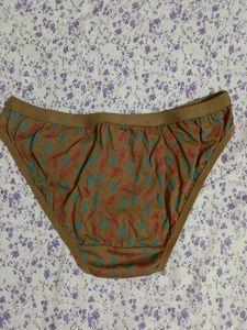 Max Comfortable Printed Bikini Brief