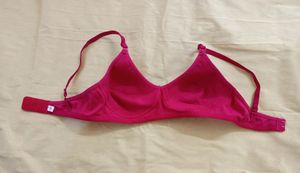 Unused Branded Lightly Padded Bra