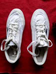 Casual Shoes  👟