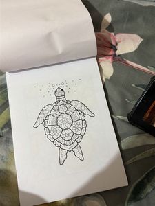 Turtle Coloring Book Page