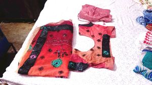 Elegant Embroidered Saree Blouse