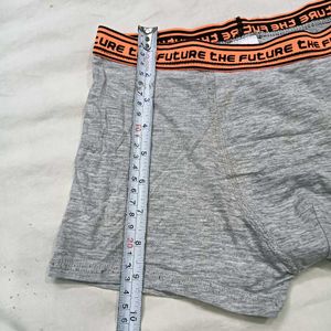 Grey Boxer ⭐Briefs with "The Future" Print