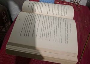 Haunting Adeline Novel Vol.1
