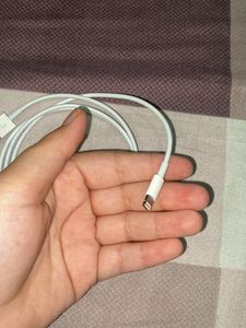 Apple Original Charging Cable