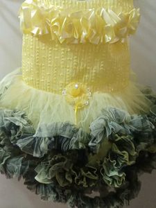 Yellow &amp; Green Tutu Dress