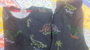 Dinosaur Skater Print Top