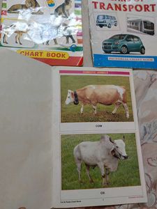 Set of 5 Cut &amp; Paste Chart Books for Kids