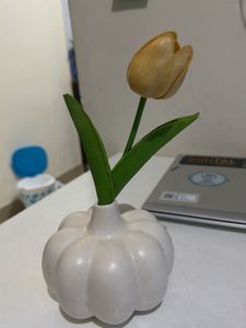 Cute White Pumpkin Vase with Tulip