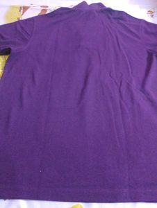 Men's Purple Polo Shirt