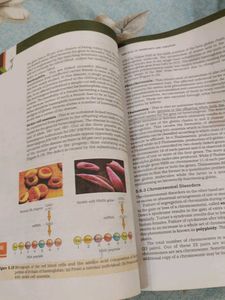 Biology Textbook for Class XII
