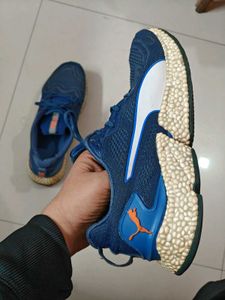 Puma Speed Orbiter Running Shoes with Pro plate