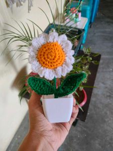 Crochet daisy flower pot 🌸