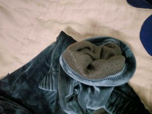 Velvet Joggers