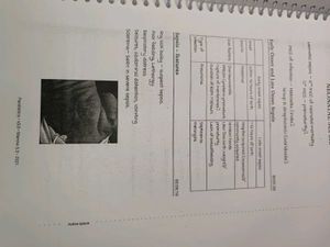 Pediatrics Marrow Note ( v. 3 rd edition)