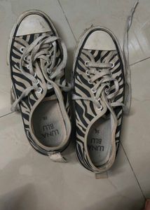 Westside LUNA BLU Zebra Print Sneakers