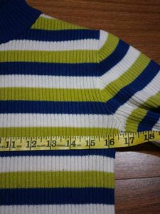 Striped Knit Turtleneck Sweater
