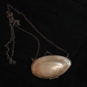 Rare Mother of pearl shell coin purse