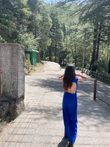 Elegant Blue Sleeveless Jumpsuit
