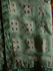 Elegant Pastel Green Saree