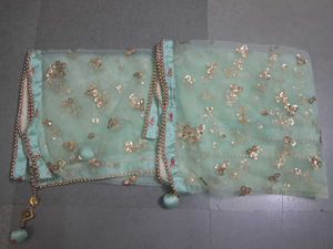 Beautiful Teal Ethnic Skirt with Embellishments