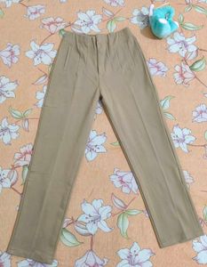 Zara type pants
