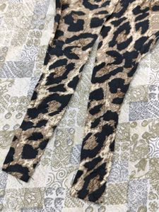 Leopard Print Long Sleeve Top