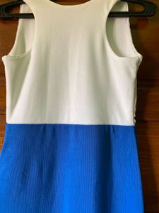 Chic Two-Tone Sleeveless Dress
