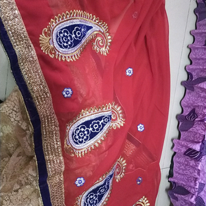 Half net & alf embroidered  chumki partySare