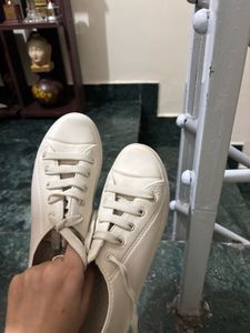 Classic Beige Lace-Up Sneakers