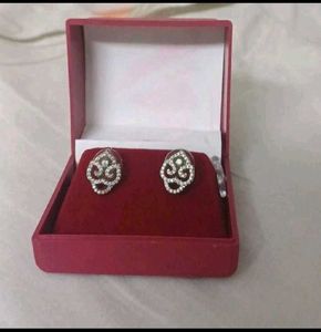 Elegant Dangle Earrings