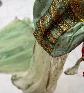 Elegant Mint Green Lehenga Choli