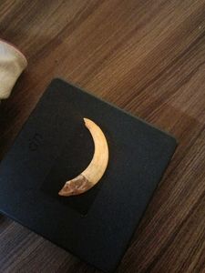 Unique Tusk boar teeth