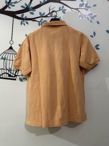 Men's Peach Polo Shirt (EUROPE )