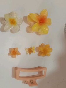 Floral Hair Clip Set
