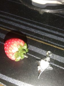 Lil Charms And Earring StudTo Make Jewellery With!