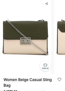 Allen Solly Stylish Taupe Chain Shoulder Bag