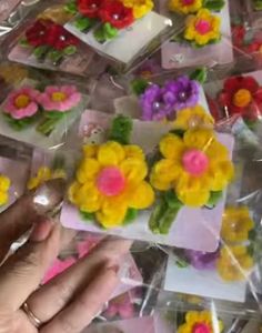 Brand New Hair Clips