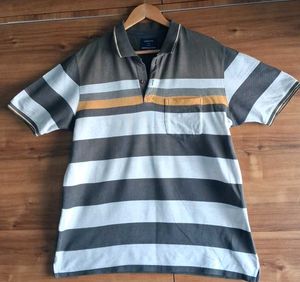 Men's Polo T Shirt
