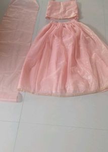 Adorable Peach Lehenga Set