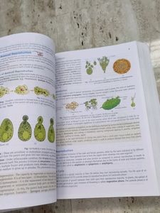 Biology NCERT At My Fingers Tips